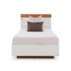 Juda Engineered Wood Single Size Non Storage Bed in Frosty White and Urban Teak Brown