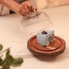 Ireka Homes Vriksha Acacia Wood Cake Stand with Glass Dome