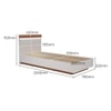 Juda Engineered Wood Single Size Non Storage Bed in Frosty White and Urban Teak Brown