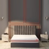 Quboid 3 Zoned NRG Layer Medium Firm Qube Cell Mattress with Zero Motion Transfer (78 x 72 in, 10 Inches)