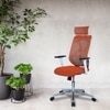 Wiweangs High Back Ergonomic Chair in Orange Colour