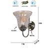 Devansh Steel Electric Wall Light in Steel Colour with Transparent Shade Count of 1 Light