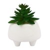 Cozy Bear Ceramic Planter