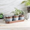 Metal Table Planters With Tray Set Of 4 In Brown And Silver Colour