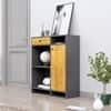Hexa Red Multipurpose Storage Cabinet With 1 Drawer 1 Door in Slate Grey And Giant Wood Colour