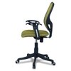 Goolda Low Back Ergonomic Chair in Pearl Green Colour
