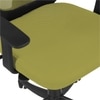 Xxeana Low Back Ergonomic Chair in Pearl Green Colour