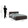 Aaron Bed Without Storage in Choco Walnut Finish