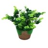 Artificial Jade Plant With Pot