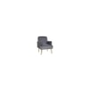 Esme Accent Chair