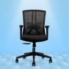 Regalia Mid Back Mesh Office Chair in Black Colour