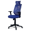 Zeeazyana High Back Ergonomic Chair in Blue Colour