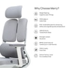 Merry Premium Ergonomic Office Chair High Back in Grey Colour