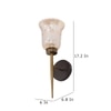 Eliante Modern Wall Lights Mild Steel, Glass & Glass Material Antique,Brown & Golden Finish