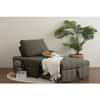Scandinavian Monte Sofa Bed in Leaf Green Finish Pet Friendly