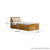 Hexa Engineered Wood Modern Single Bed With Headboard With Storage In Giant Wood