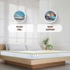 Sleepwell Spinetech Classic Mattress 8 inch King High Resilience (HR) Foam Mattress (L x W: 75 inch x 70 inch)