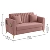Daraco Velvet 2 Seater Sofa in Pink Color