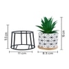 Highly Attractive Succulent Plant With A Geometric Patterned Ceramic Pot In A Stand