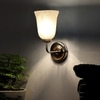 Devansh Metal Electric Wall Light in Steel Colour with White Shade Count of 1 Light