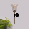 Devansh Metal Electric Wall Light in black Colour with Transparent Shade Count of 1 Light