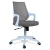 Xeanea Mid Back Ergonomic Chair in Grey Colour