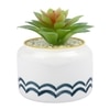 Pristine And Awe-Struck Indoor Succulent Plant With White Ceramic Pot