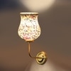 Devansh Metal Electric Wall Light in Gold Colour with Multicolor Shade Count of 1 Light