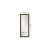 Vaidya Mirror