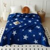 Silky Touch Premium Super Soft Cozy Doube Bed Blanket 240 X 220 Cms 350 Cms