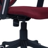 Aaeroa Low Back Ergonomic Chair in Maroon Colour