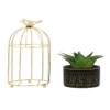 Aloe Vera Plant In Ceramic Pot With Attractive Bird Cage