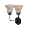 Devansh Metal Electric Wall Light in black Colour with Transparent Shade Count of 2 Lights
