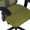 Eexcaeal Mid Back Ergonomic Chair in Pearl Green Colour