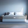 Sleepwell Dual Pro Foam Resitec Medium Firm Profiled Pu-Foam Single Size Mattress (Thickness: 5 Inches, Dimensions: 72 X 30 Inches)