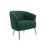 Carl Accent Chair in Green Colour