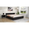 Ren Engineered Wood Queen  Size Bed With Box Storage (Wenge Finish)