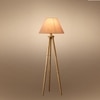 Devansh Tripod Floor Lamp