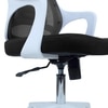 Xeanea Mid Back Ergonomic Chair in Black Colour