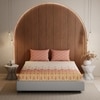 Stoa Paris King Size Bedsheet Bedsheet, Collection Peach