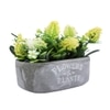 Verdant Bliss Planter