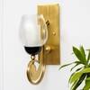 Richmond Brass and Glass Wall Light