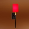 Devansh Metal Electric Wall Light in Black Colour with Red Shade Count of 1 Light