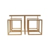 Valentino Clear Glass Nesting Coffee Table In Dark Gold Finish