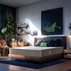 Sleepyhead Flip Dual Firm Foam Mattress Queen 72x60x8