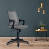 Ddeasirea Mid Back Ergonomic Chair in Grey Colour
