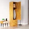 Hexa Red Wooden 1 Door Wardrobe with 2 Drawers and Hanging Space in Giant Wood Colour
