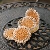 Ireka Home Coastal Jute Coaster Set with Holder – Set of 4
