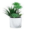Artificial Succulent Indoor Plant With Ceramic Pot