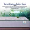 Sleepwell Nexa Plus Premium Mattress Medium Firm Resitec Foam Queen Size 72x70x8 in